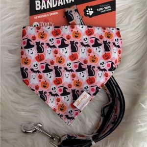 Halloween Dog Bandana and Leash Set
